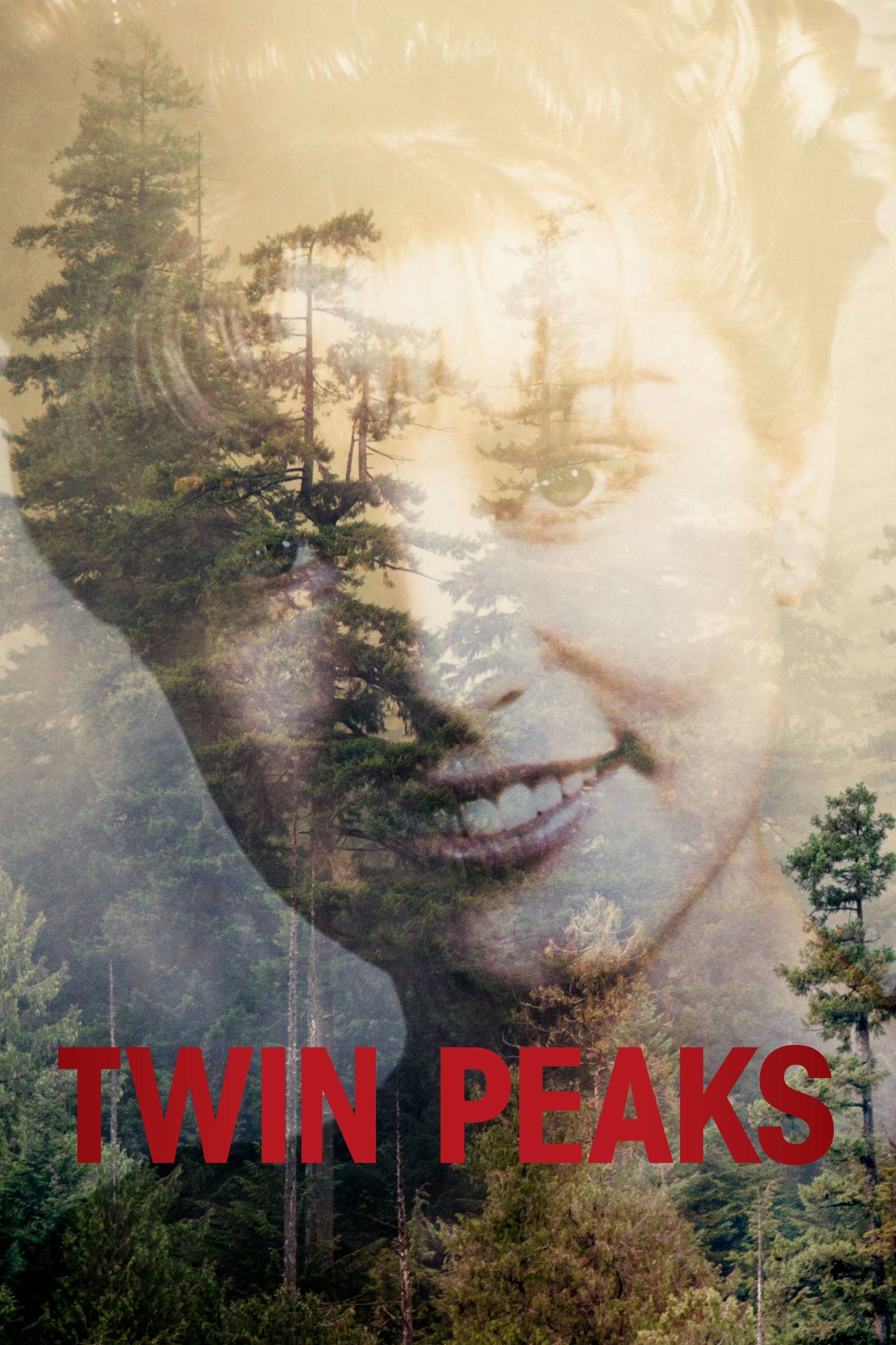 Twin Peaks (1990 TV Series)